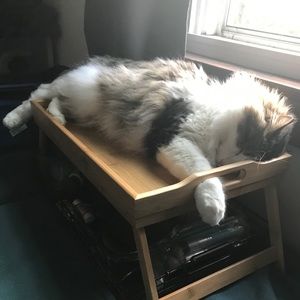 Meet your Posher, Celia